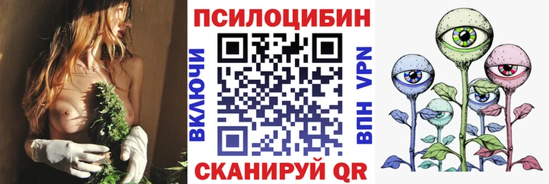 Псилоцибиновые грибы GOLDEN TEACHER где можно купить Алексин